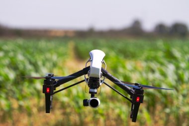Drone is flying over a green field