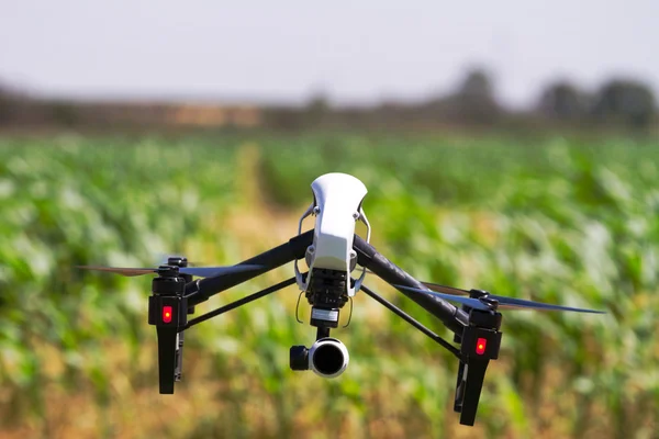 Drone is flying over a green field — Stock Photo, Image