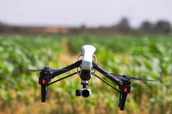 Drone está volando sobre un campo verde —  Fotos de Stock