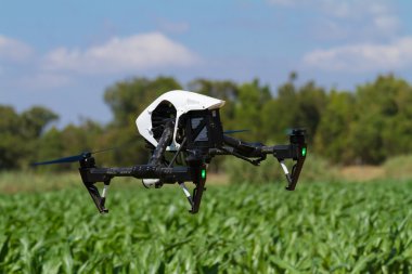 Vurgulama düşük üzerinde yeşil saç ekimi robot