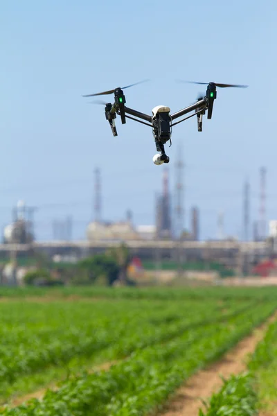 Small drone photographing green plantation — Stock Photo, Image