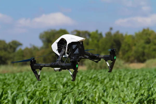Drohne schwebt tief über grüner Plantage — Stockfoto