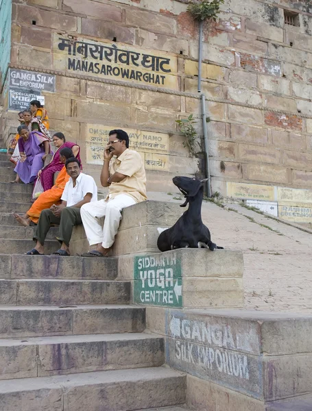 Varanasi, Indie - 15 květen: funny zvířat - koza s muži poblíž hol — Stock fotografie