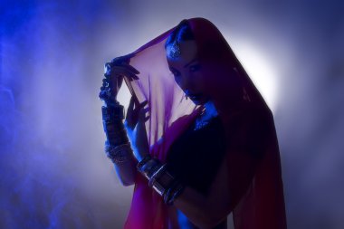 geleneksel giyim siluet güzel genç Hintli kadın 