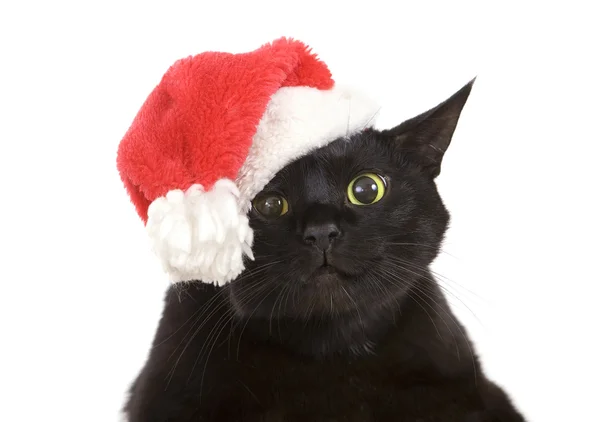 Schwarze Katze santa - süße Weihnachtskatze, Weihnachtstier mit Weihnachtsmann — Stockfoto