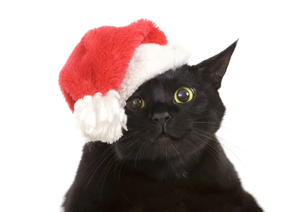 Svart katt santa - söt jul katt, jul pet med santa c — Stockfoto