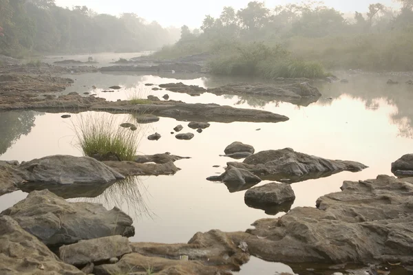 Landscape of Meadow in India — Stock Photo, Image