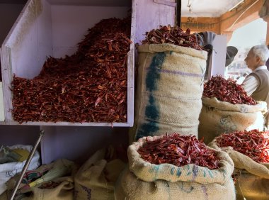 Jaipur, Hindistan, Aralık 2015: Tanımlanamayan Hintli adam ve biber kırmızı