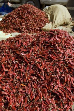 Biber kırmızı biber Hint Jaipur pazarında, Rajasthan, Hindistan