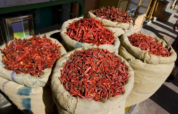 Chilischote auf dem indischen Jaipur-Markt, Rajasthan, Indien — Stockfoto