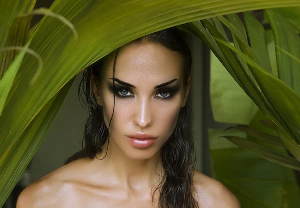 Make-up. sexy schöne Frau versteckt sich hinter den Palmenblättern. Beau — Stockfoto