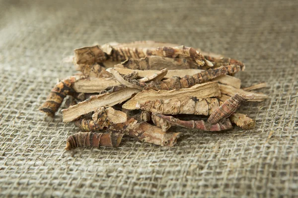 Calamus kořen nebo Sweet vlajka — Stock fotografie