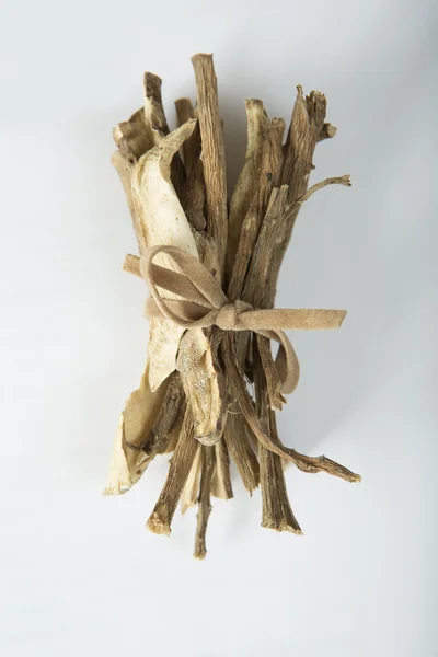 Raiz de bardo. Elecampano Root close-up — Fotografia de Stock