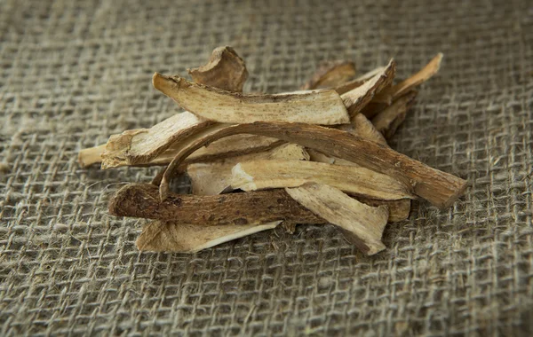 Корень нарда. Elecampane Root крупным планом — стоковое фото