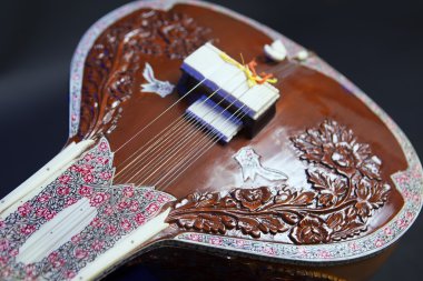 Sitar, bir dize geleneksel Hint müzik aleti