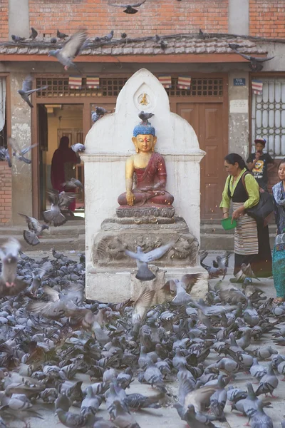 Katmandu, Nepal - 12 Mayıs: Kathmandu şehir meydanında güvercinler, — Stok fotoğraf