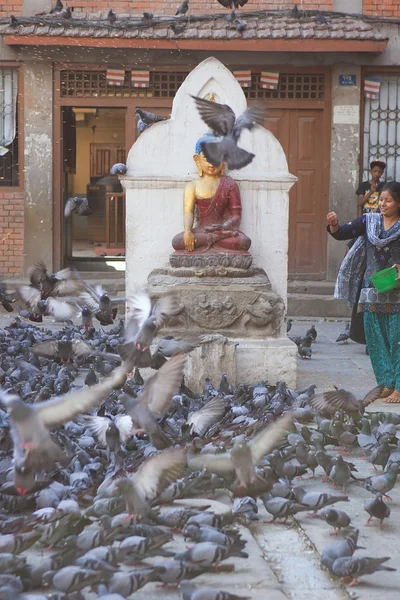 Katmandu, Nepal - 12 Mayıs: Kathmandu şehir meydanında güvercinler, — Stok fotoğraf