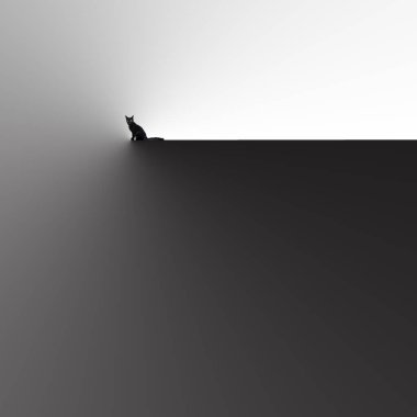 Black Cat and the shadow, simple and fine art photography clipart