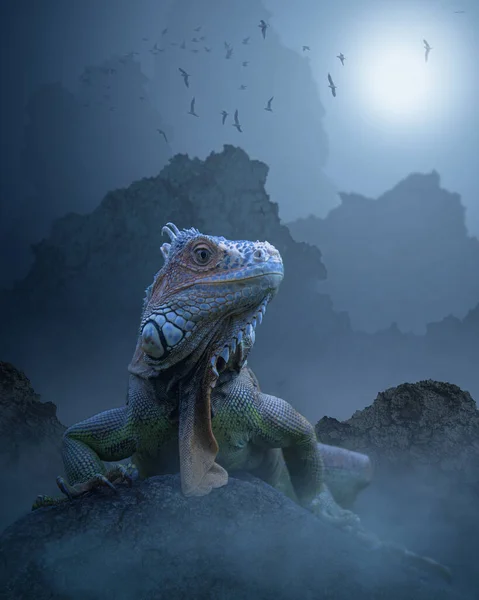 Büyük Iguana Sisli Kayalıklarda — Stok fotoğraf