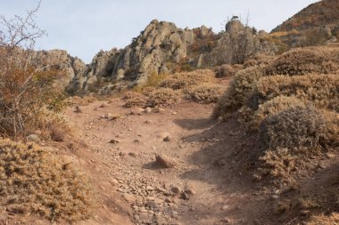 Kırım yarımadasının sonbahar fotoğrafları. Bulutların üstündeki dağlarda. Kayın, çam, boynuz, Demerdji dağlarındaki orman.