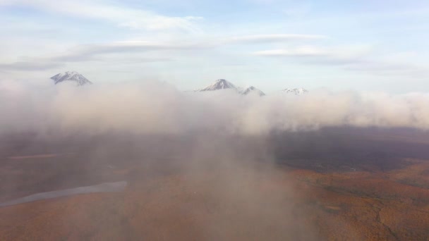 Imágenes de drones 4k. Vista aérea de la cámara que va por encima del bosque de otoño con nubes bajas. Día brumoso en la península de Kamchatka. Volcanes en el fondo. Turismo — Vídeos de Stock