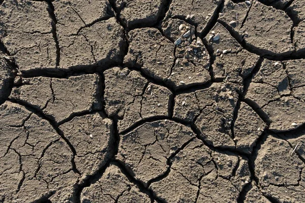 Çatlak susuz Toprak (Doğal Doku)