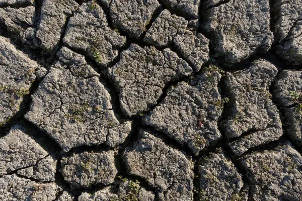 Susuz bir gölün güneşten çatlamış tabanının doğal dokusu (Yakın çekim))