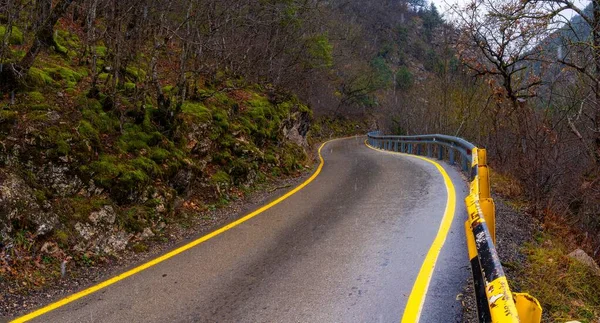 Sarı çizgili patika ormandan geçen mesafeye gidiyor. Yolun asfalt yüzeyi yağan kardan ıslanmış.