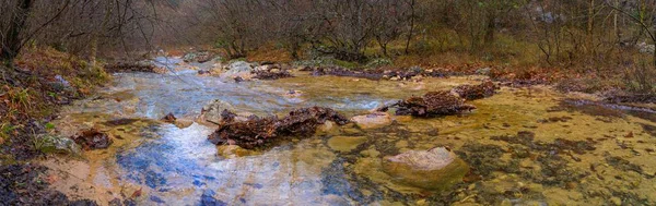 Şiddetli kar yağışından sonra nehir suyla doldu.