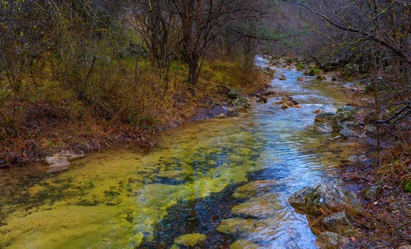 Bir dağ nehrinin yatağı Sonbahar ormanlarında akıyor.