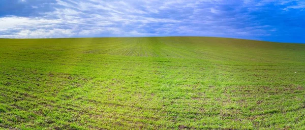 Yeşil çimen sıralarının olduğu geniş bir tarla bahar güneşinin ışınları tarafından ısıtılır. Dönen ufuk ve mavi bulutlu gökyüzü