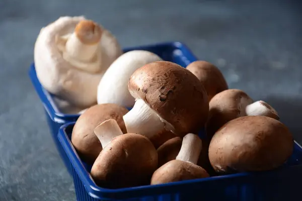 塑料盒中的新鲜香菇 — 图库照片