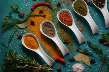 Kaşıklar içinde pişirmek için çeşitli renkli otlar ve baharatlar. Biber, biber, kırmızı biber, fesleğen, zerdeçal.