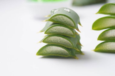 Aloe Vera yaprakları beyaz arka planda kesilmiş. Tıbbi özellikleri olan bir bitki olarak yüksek fayda
