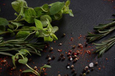 Karanlık taş arka planda baharatlar ve bitkiler