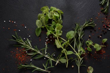 Karanlık taş arka planda baharatlar ve bitkiler