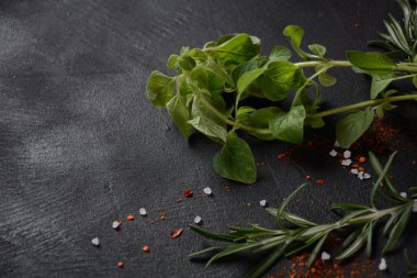 Karanlık taş arka planda baharatlar ve bitkiler