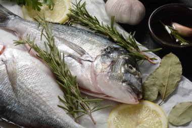 Çiğ çiğ dorado ya da limonlu, otlu, yağlı, sebzeli ve baharatlı çipura balığı siyah arka planda beyaz kağıt üzerinde