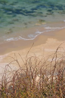 Yazın güzel deniz kıyısı. Sakin mavi deniz manzarası. Taşlı ve kumlu deniz kıyısı. Kayalık kayalıklarda çiçekler. Güneşli deniz manzarası. Netanya Şehri, İsrail