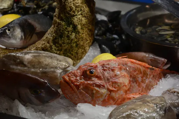 Fish Market Place Fresh Seafood Fish Ice Lemon Valletta Malta — Stock Fotó