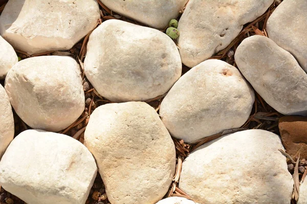 Los Suelos Piedra Pared Texturas Fondo Piedra Granito Blanco Camino — Foto de Stock