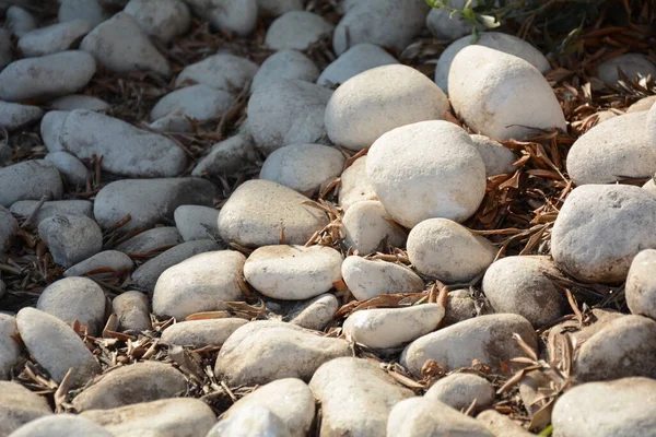 Los Suelos Piedra Pared Texturas Fondo Piedra Granito Blanco Camino —  Fotos de Stock