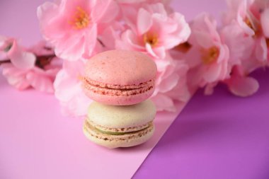 Renkli kurabiyeler. Küçük Fransız kekleri. Tatlı ve renkli Fransız kurabiyeleri, renkli badem kurabiyeleri, pastel renkler.