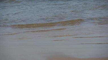 Akdeniz 'in dalgaları kumlu plaja doğru gün ışığında akıyor. Sakinleştirici köpüklü suyun yakın plan çekimi.