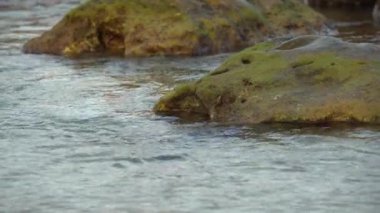 Denizin üzerinde güzel bir gün doğumu, kayalık kıyılarda dalgalar yuvarlanıyor.