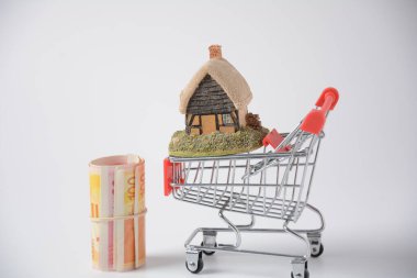 Küçük bir alışveriş arabasında bir ev ve para bir tüpün içinde yuvarlanmış. İpotek konsepti. Ev alma ya da kiralama konsepti, ev, kulübe