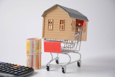 Küçük bir alışveriş arabasında bir ev ve para bir tüpün içinde yuvarlanmış. İpotek konsepti. Ev alma ya da kiralama konsepti, ev, kulübe