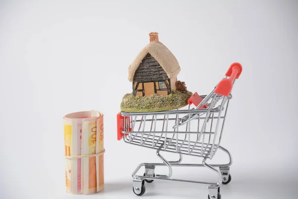 Uma Casa Carrinho Compras Mini Dinheiro Rolou Tubo Conceito Hipoteca — Fotografia de Stock