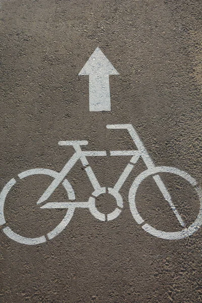 Cyclisme Signalisation Routière Flèche Piste Cyclable Seulement Panneaux Routiers Israël — Photo