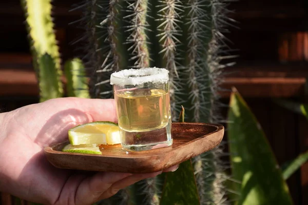 Tequila Ouro Mexicano Vidro Tiro Com Limão Sal — Fotografia de Stock